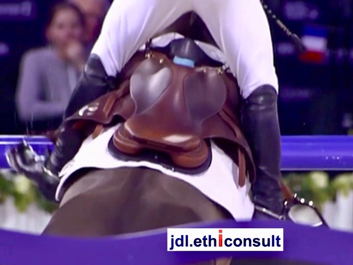jdl-ethiconsult-jean-daniel-laine-sports-equestres-programme-dintegrite-risques-de-corruption-dans-lentreprise-selle-eperons-cravache-rennes